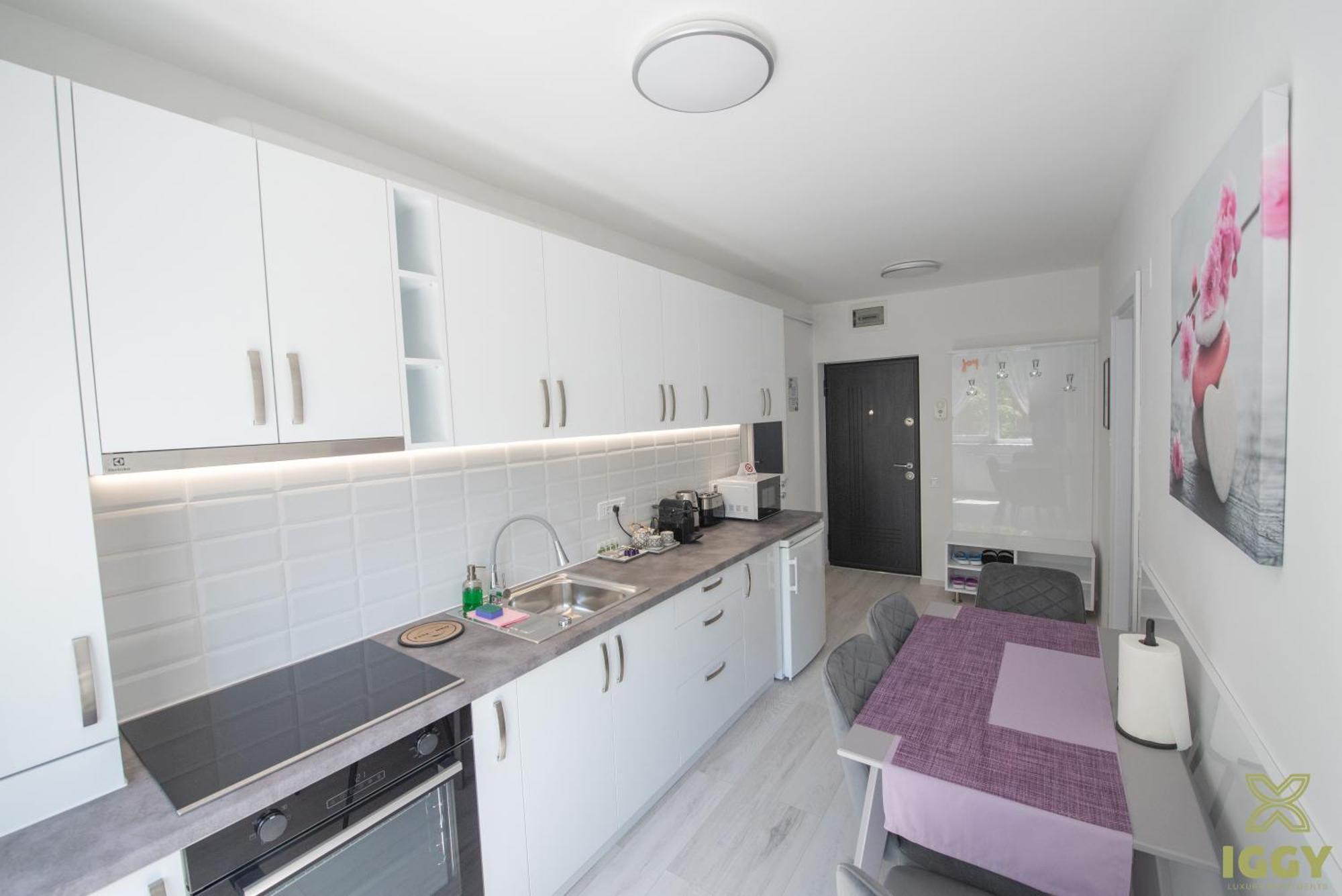 Iggy Premium Apartment Hunedoara Zewnętrze zdjęcie
