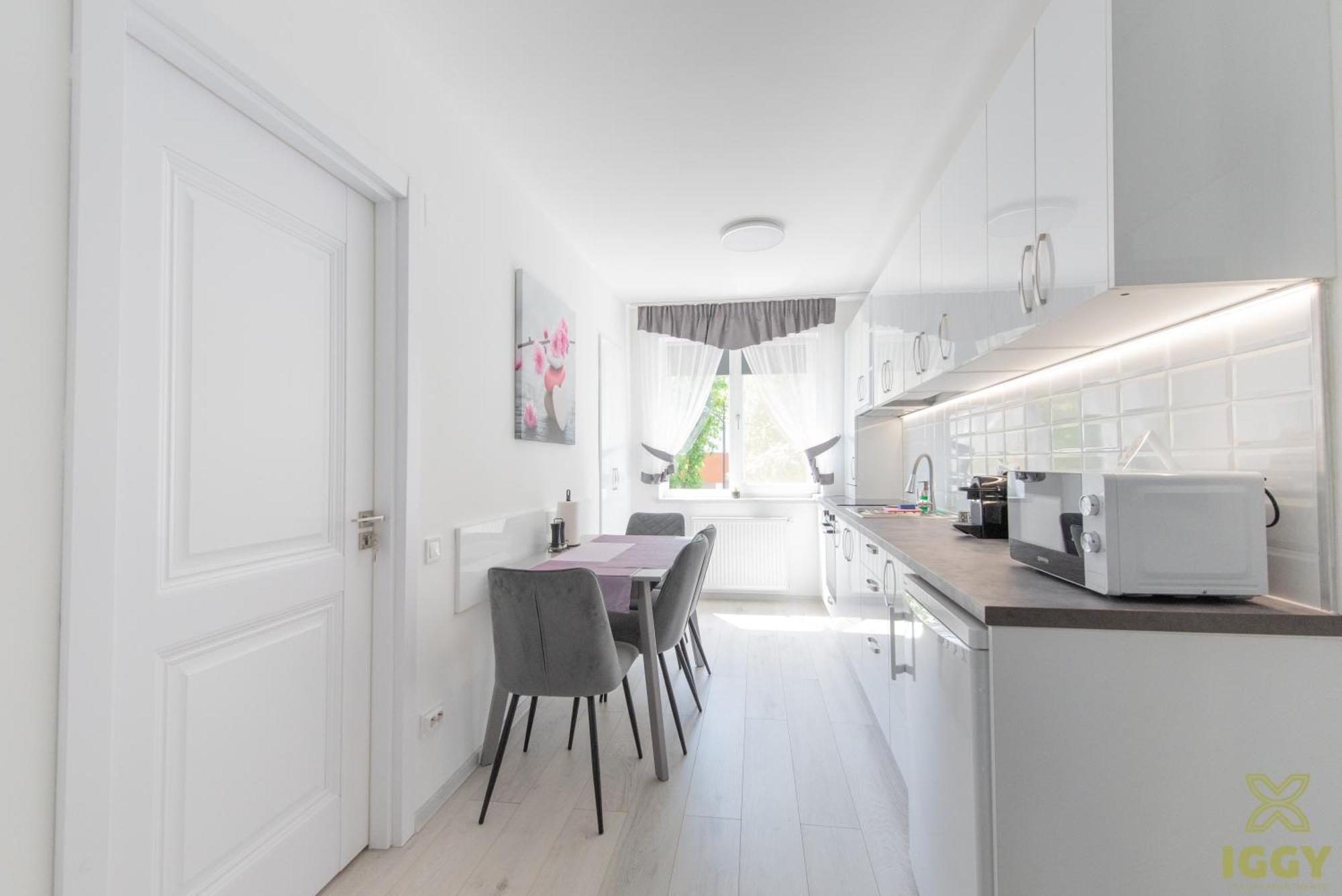 Iggy Premium Apartment Hunedoara Zewnętrze zdjęcie
